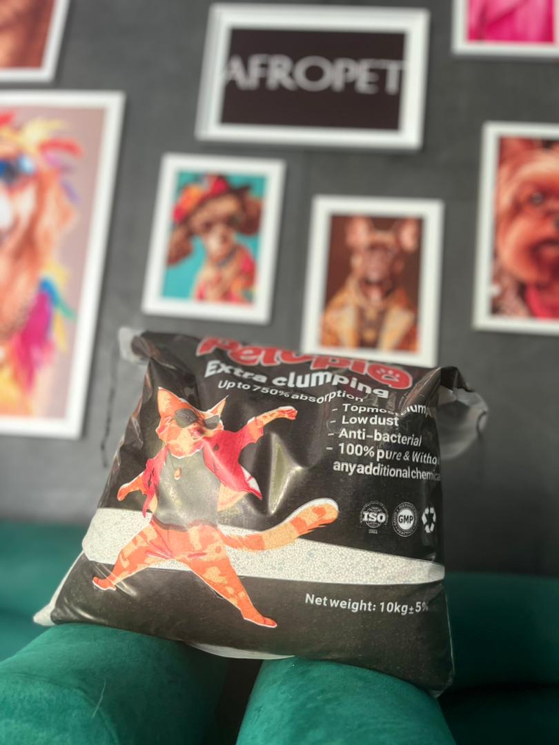 WhatsApp Image 2025-08-31 at 13.55.03