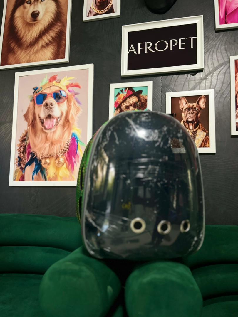 WhatsApp Image 2025-10-12 at 16.24.45