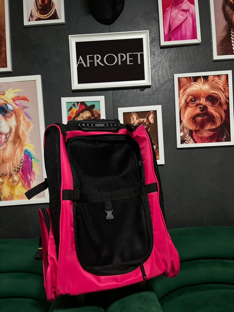 WhatsApp Image 2025-10-12 at 17.15.15